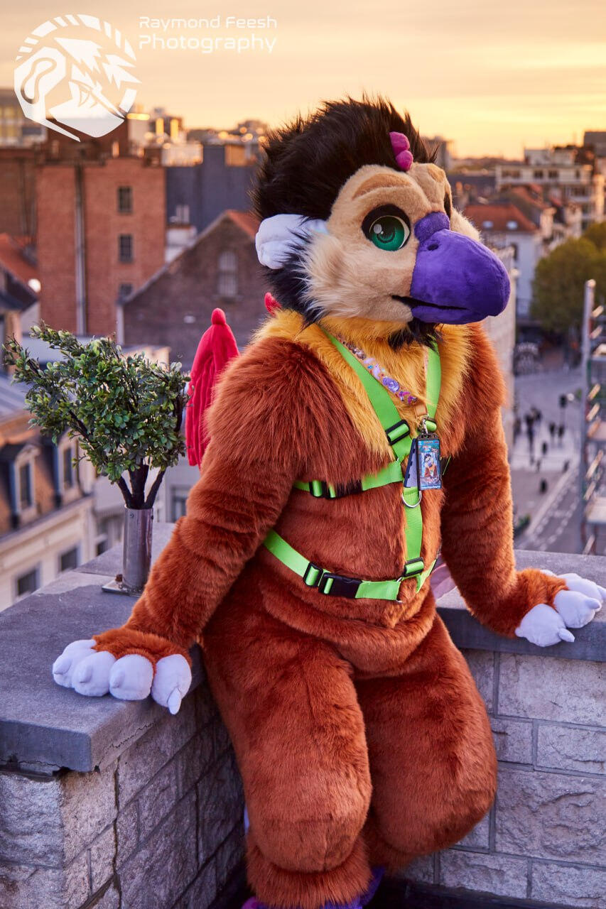 Mico the Chicken/Dragon/Roo