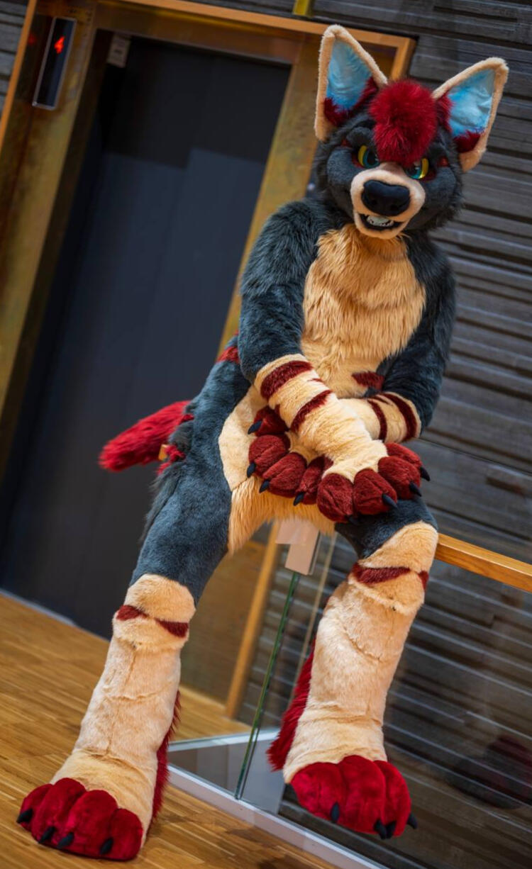Kaito the Hyena