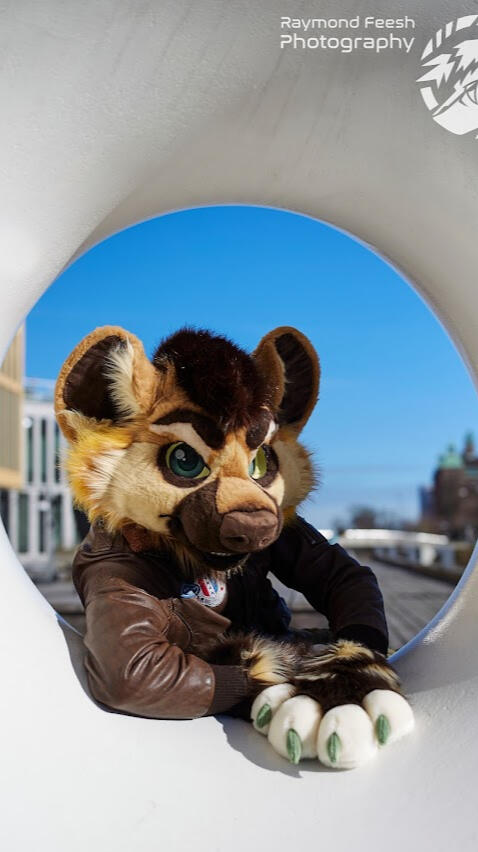 Matcha the Hyena