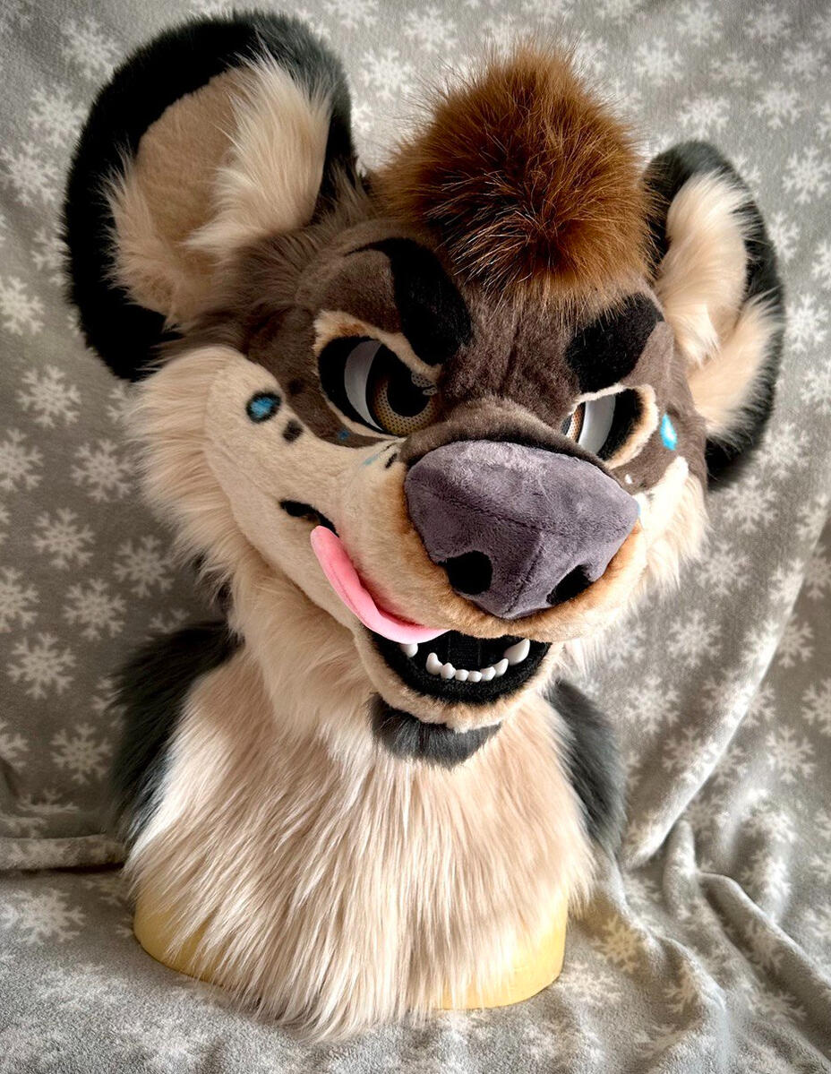 Kawa the Hyena