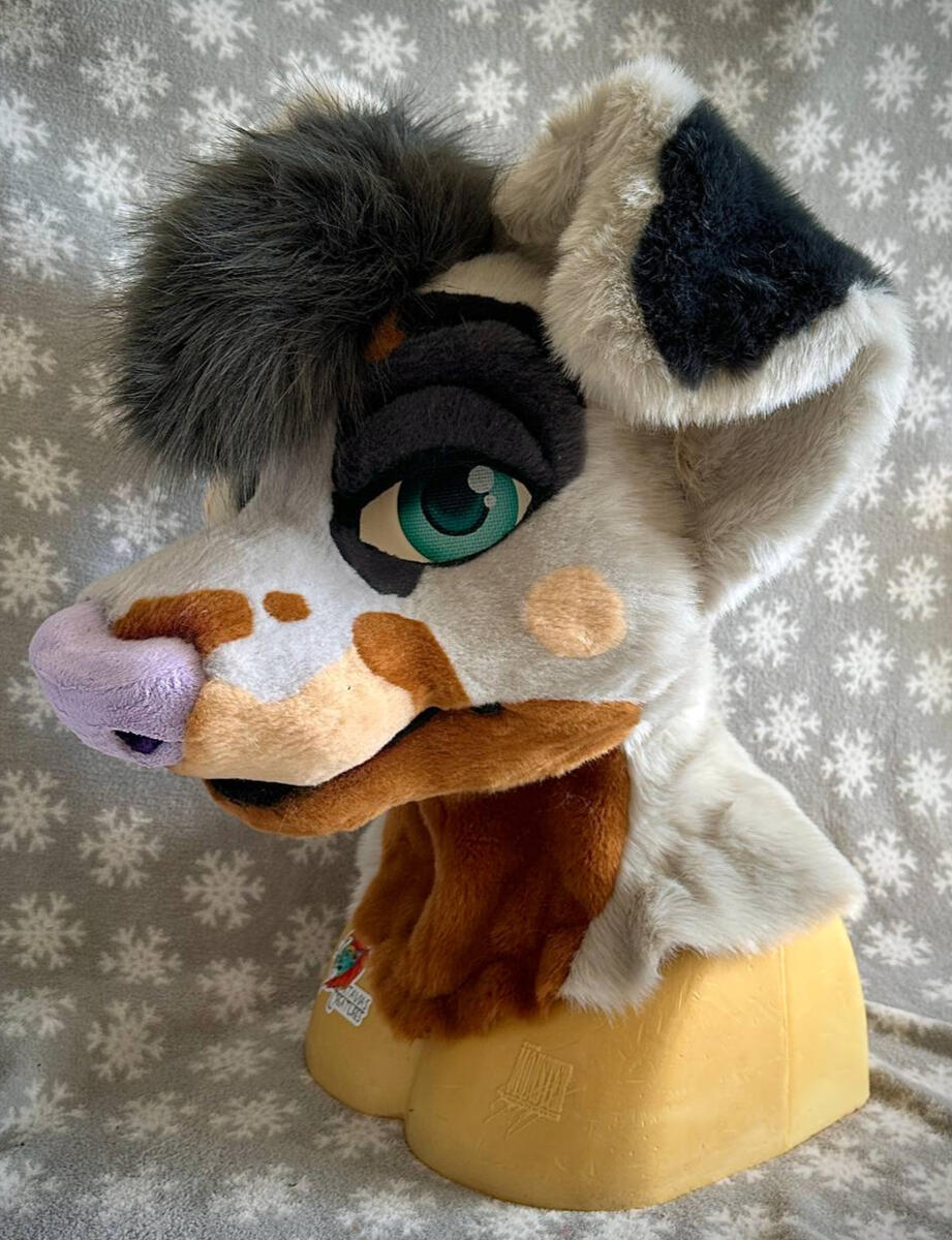 Takahiro the Doberman